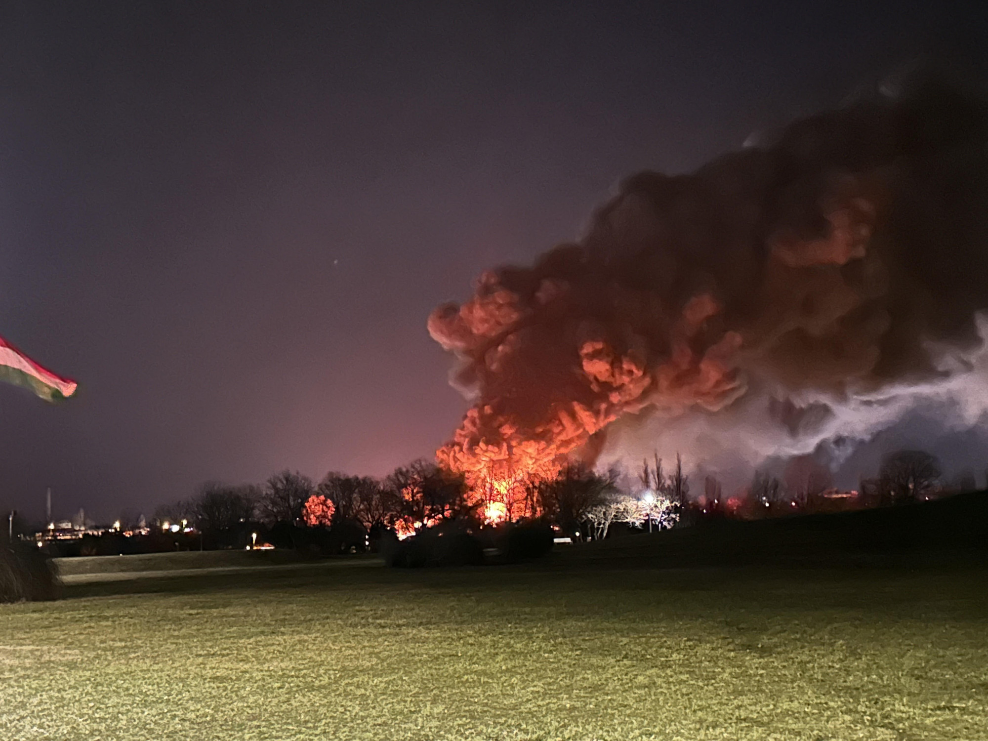 Kigyulladt és leégett egy több ezer négyzetméteres kertészet Soroksáron