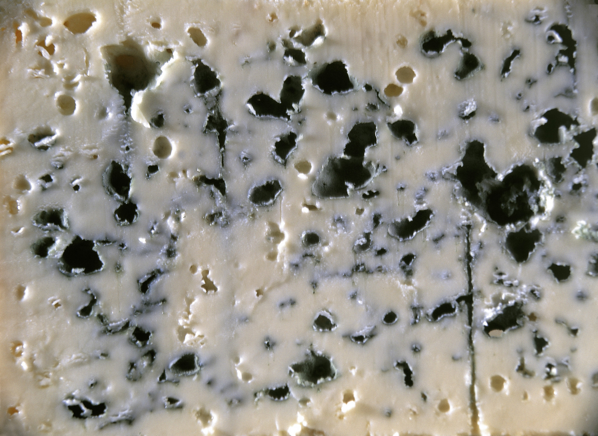 Forradalmi áttörés: minden eddiginél színesebb sajtokat kísérleteztek ki a Nottinghami Egyetemen