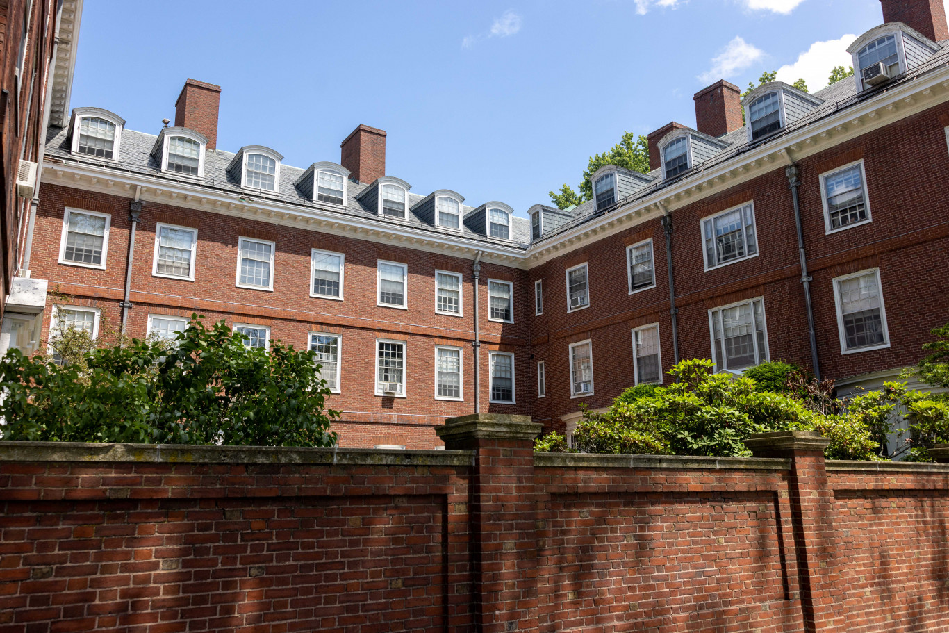 A bíróság szerint a Harvard nem felelős az emberi maradványok árusításáért
