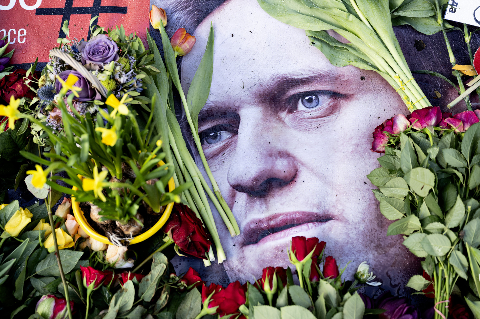 Németország újabb szankciókat javasol Oroszország ellen Navalnij halála miatt