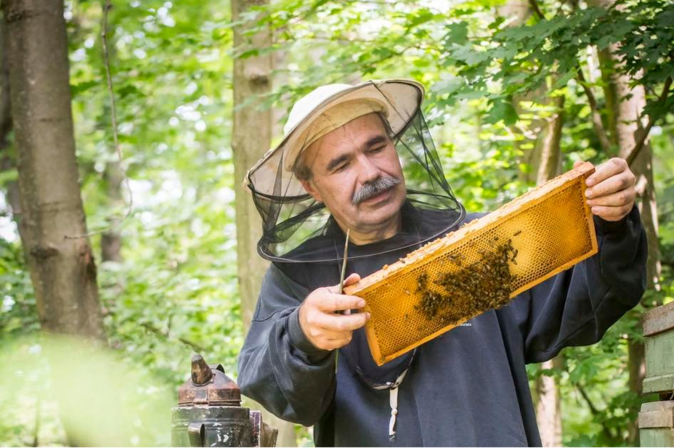 Méhészek szerint a Fidesz biodíszletnek használta őket a gazdatüntetéshez, majd kihúzta a lábuk alól a talajt