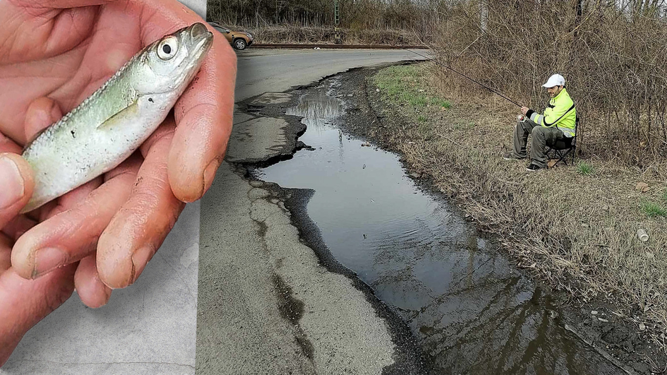 Akkora a kátyú Lőrincinél, hogy halat fogtak benne