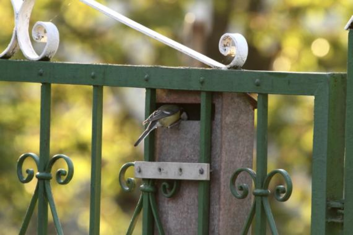 Mindenki figyeljen oda a postaládájára meg a cinkékre