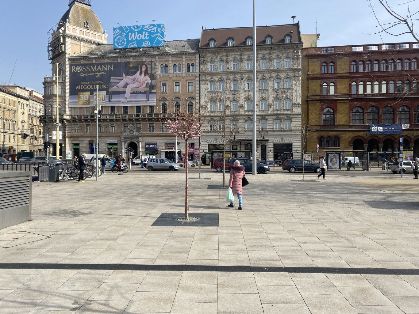 Kivirágzott a Blahán a japán cseresznye, ami áprilisban szokott, a legjobb program most Budapest közepén cseresznyevirágzás-ünnepet tartani