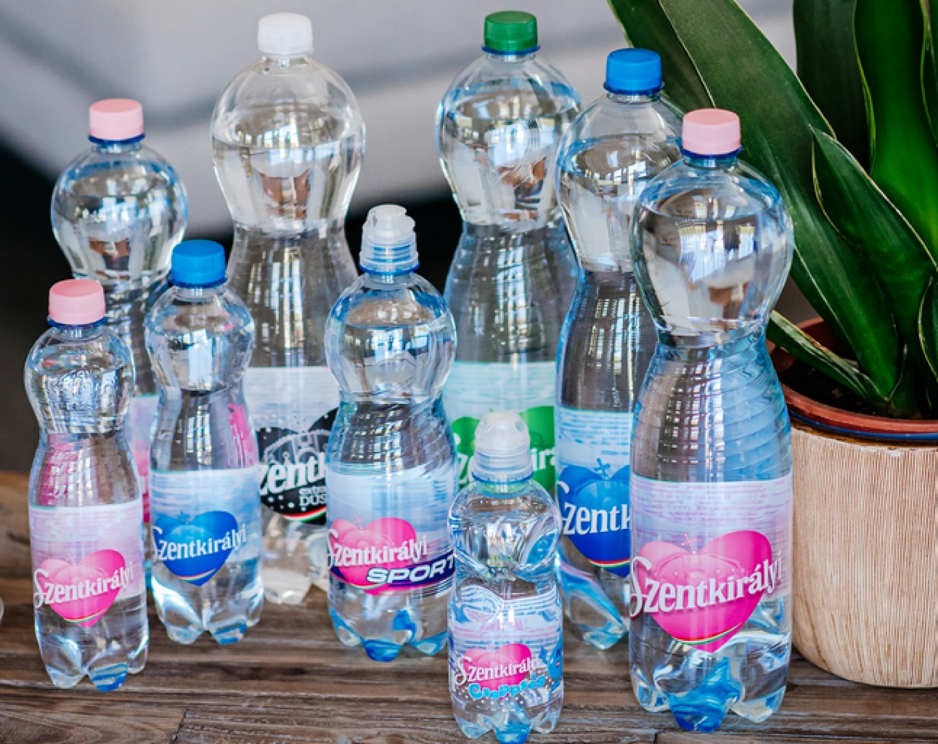 Tisztítószer került a másfél literes Szentkirályiba, vigye vissza, ha pénteken az Auchanban vásárolt belőle