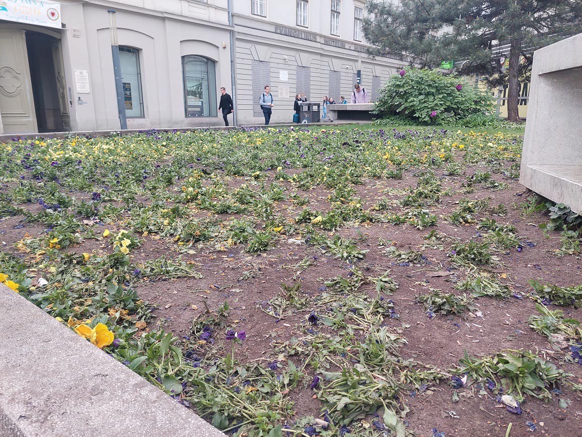 A virágokat is letaposták a szombati ezresszórás közben a Deák téren