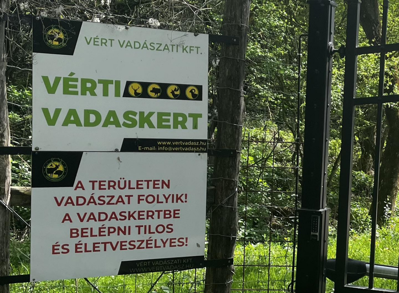 Olyan bekerített vadaskertet tart fenn Mészáros Lőrinc, ahol a fővárosi Állatkert területének harmadára beszorított nagyvadakat lőhetnek le darabonként milliókért