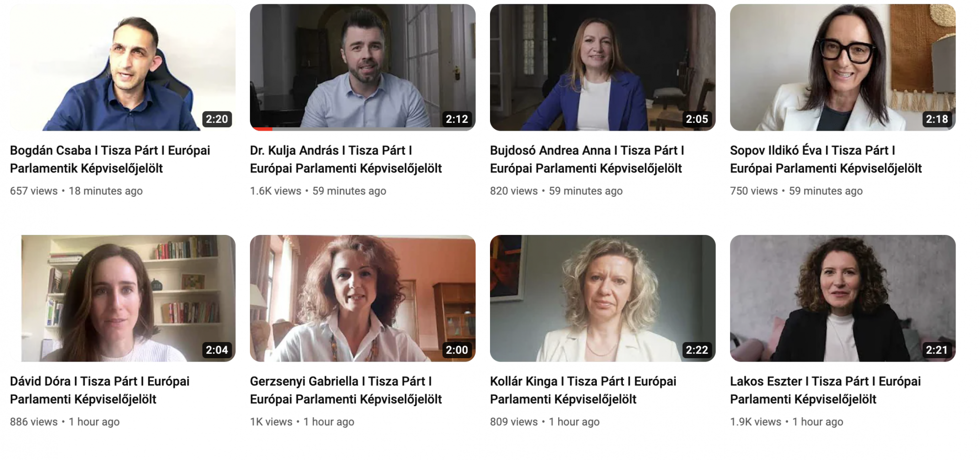 Íme a Tisza Párt EP-jelöltjei, többmilliós nézettségű videókat posztoló orvos-influenszer is van köztük