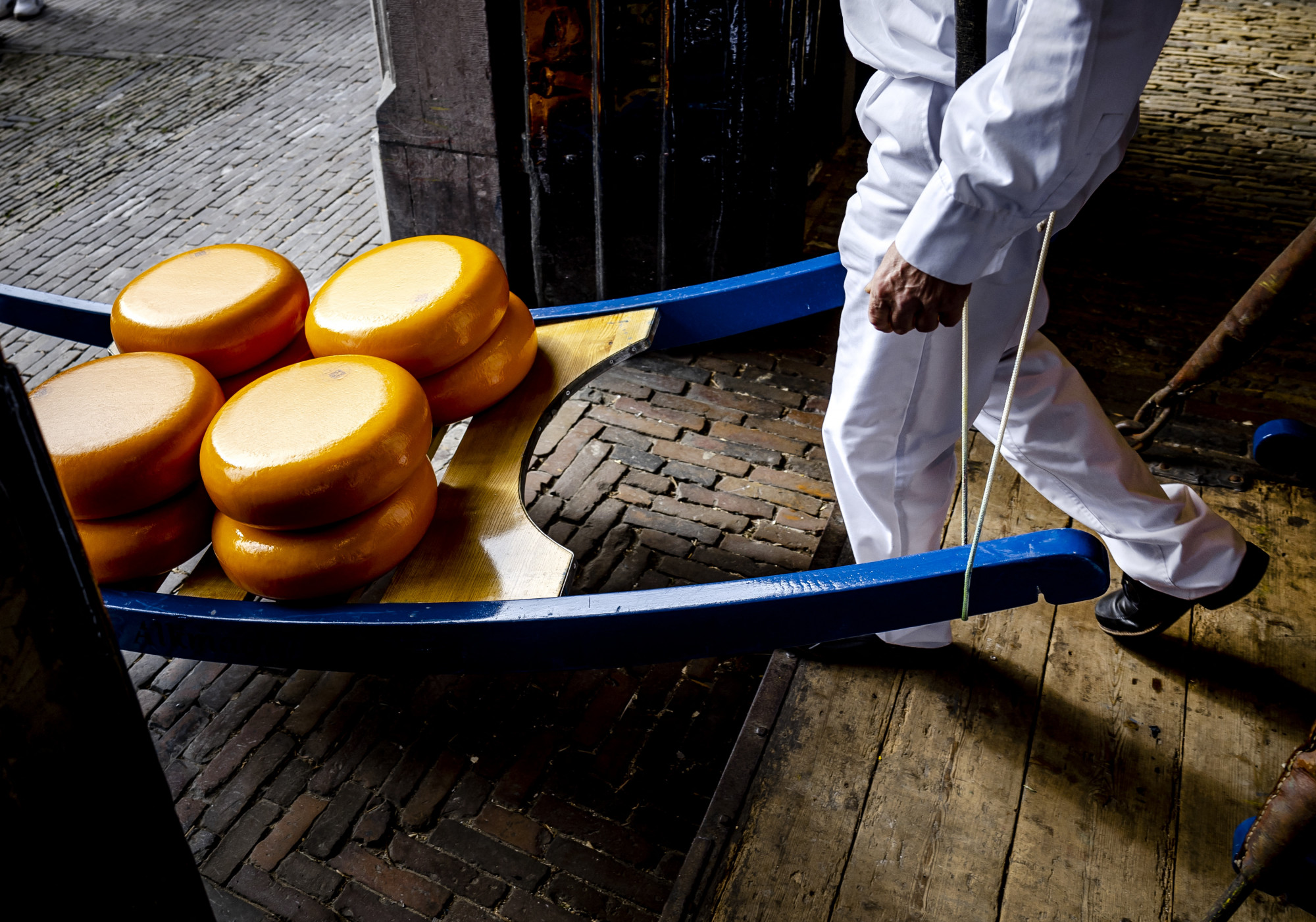 Úgy lopják a sajtot Hollandiában, mintha nem lenne holnap