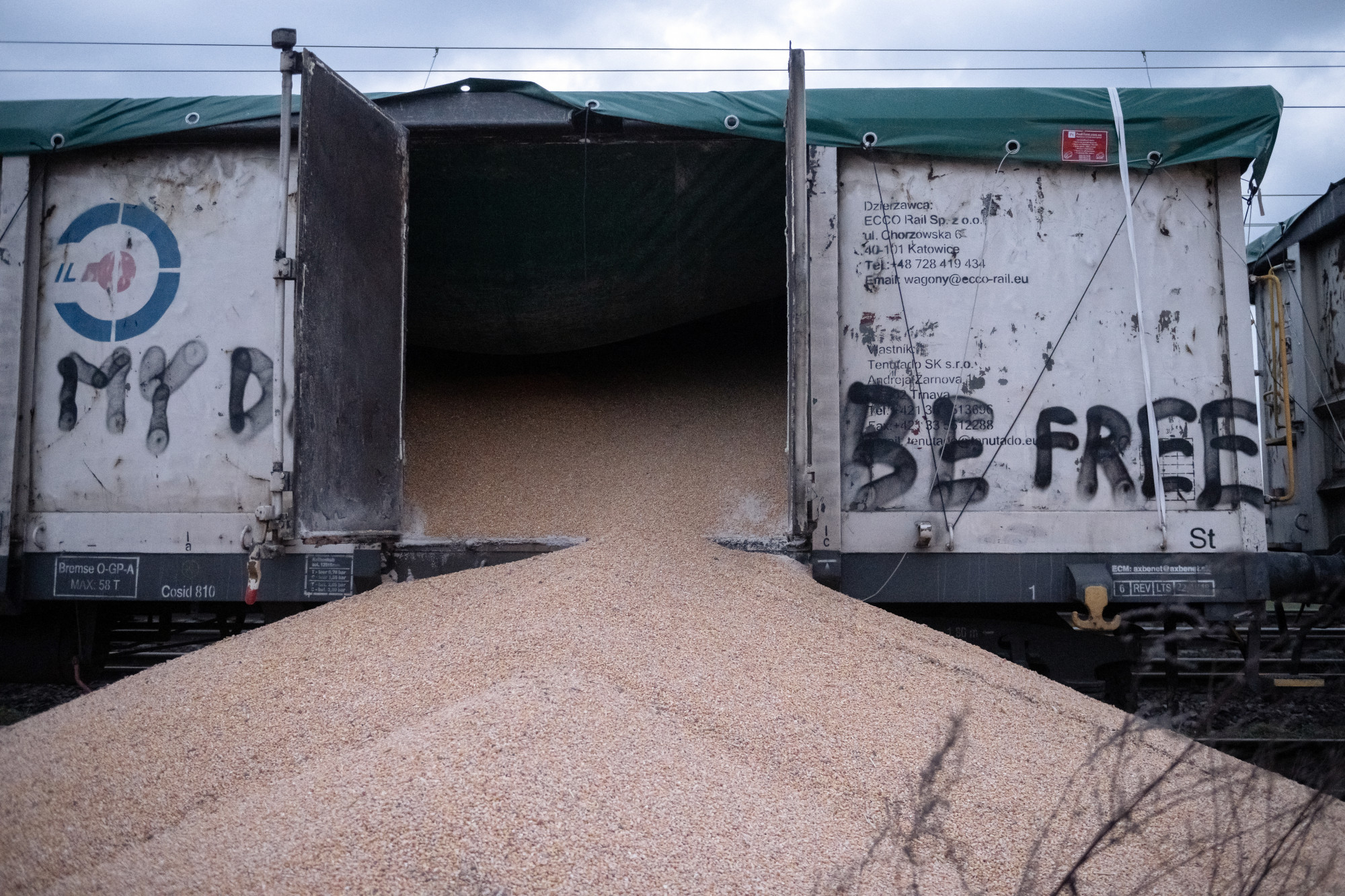 Újabb egy évre meghosszabbította az ukrán gabona vámmentességét az EU