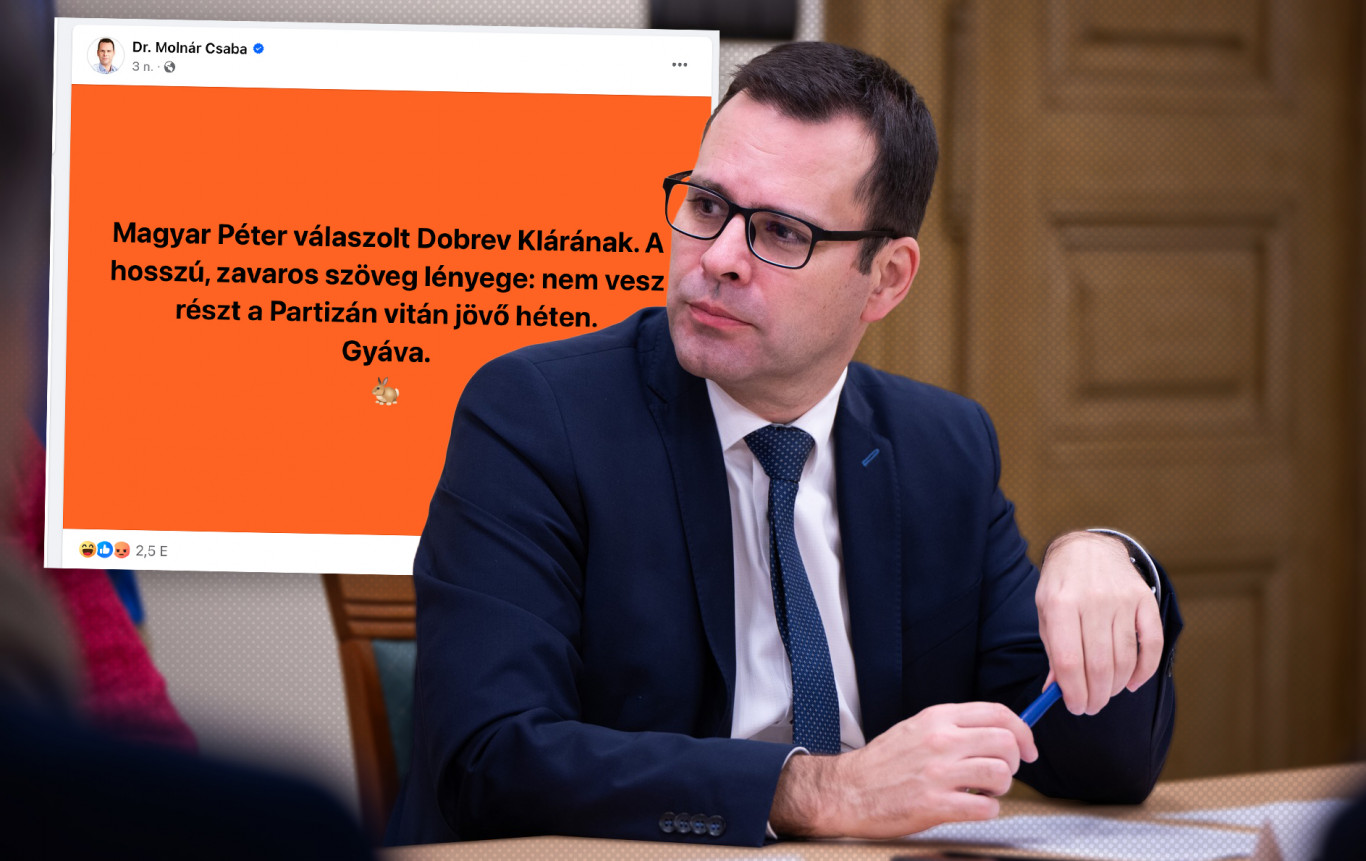Molnár Csaba 114 Facebook-hirdetésben kritizálja Magyar Pétert