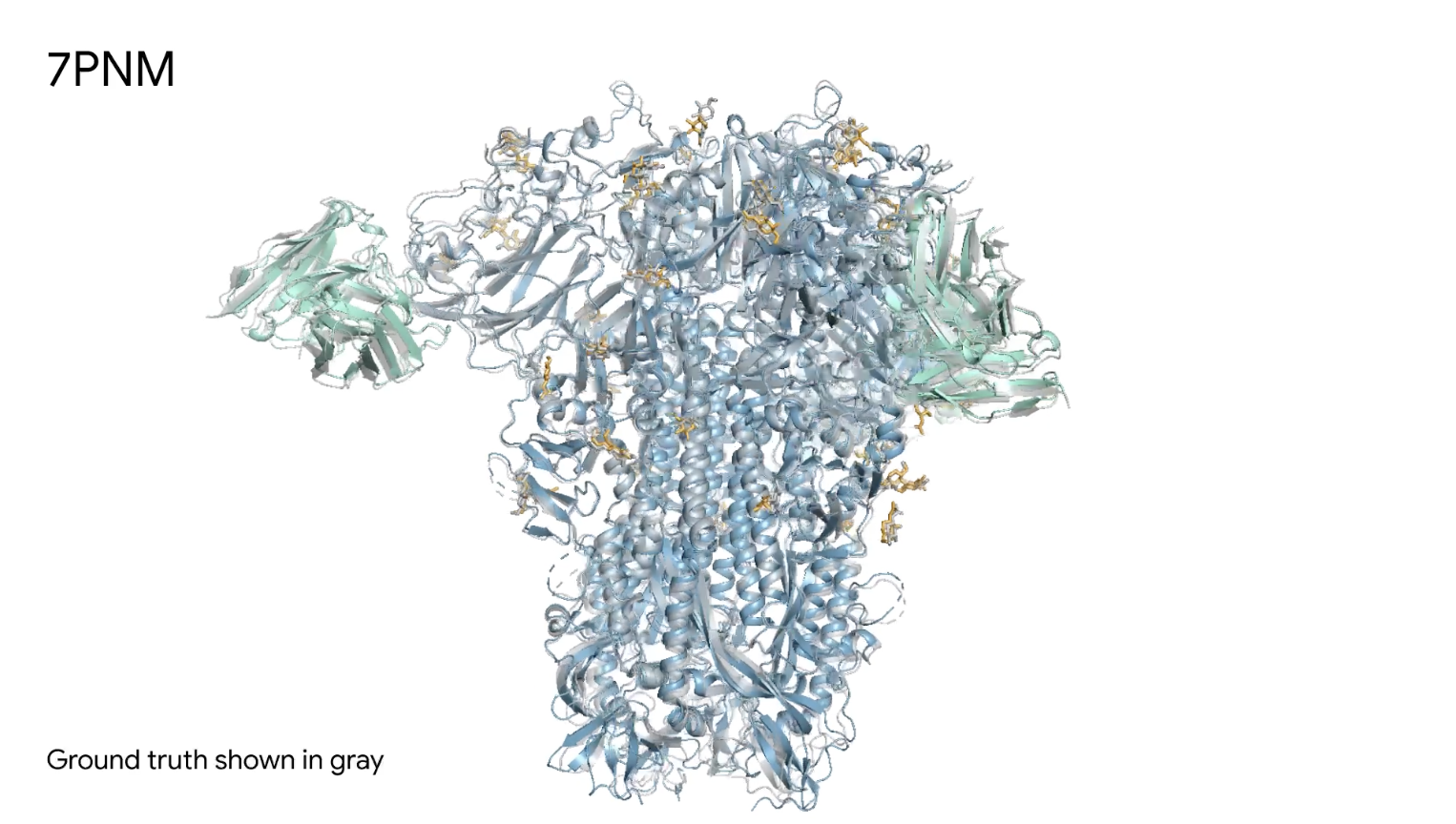 Antitesteket (sárgával) modellez egy náthakoronavírus tüskefehérjéjén az AlphaFold3