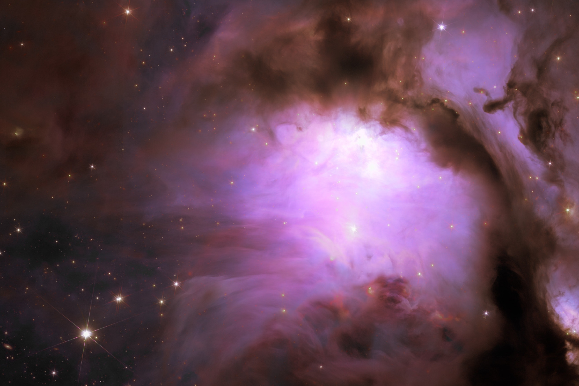 A Messier 78 reflexiós köd a Euclid űrtávcső felvételén. A kép az eredeti egy kivágott részlete.