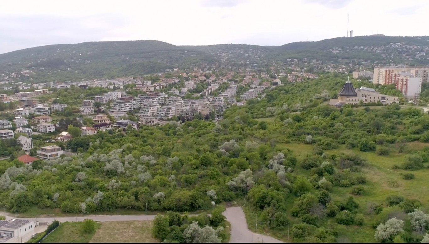 Ezrek tiltakoznak, mert a Madárhegyen 270 lakásos társasház épülne a zöldterület helyére