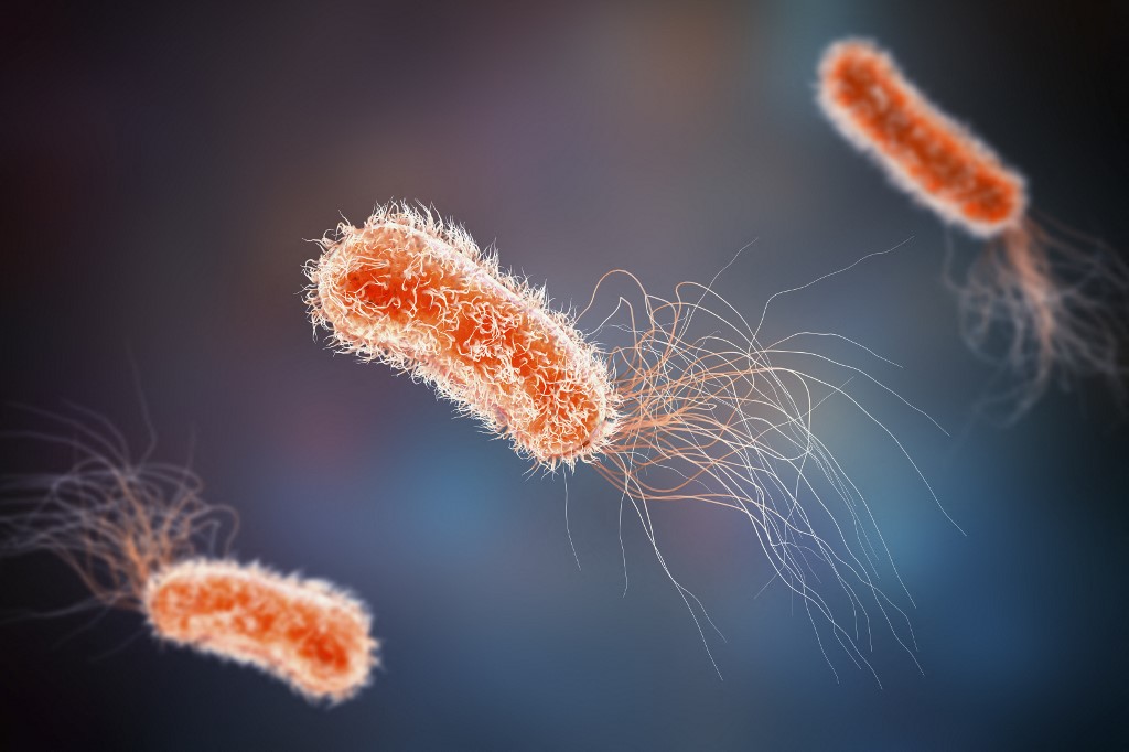 Megvédheti a mikrobiomot egy új antibiotikum-jelölt, ami szinte csak a veszélyes baktériumokat öli meg