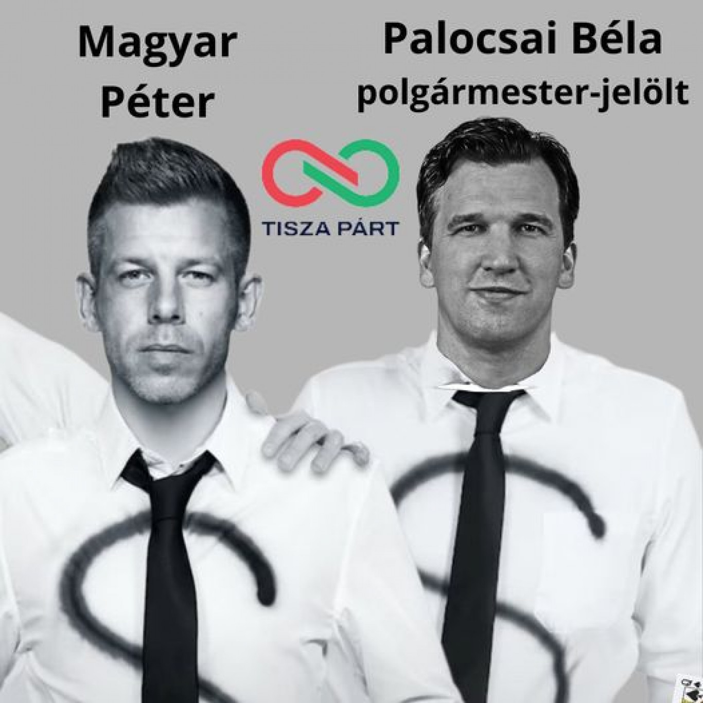 Törvényt sértett a Tisza párt kiírásával Palocsai, a Magyar Péterért rajongó egykori momentumos