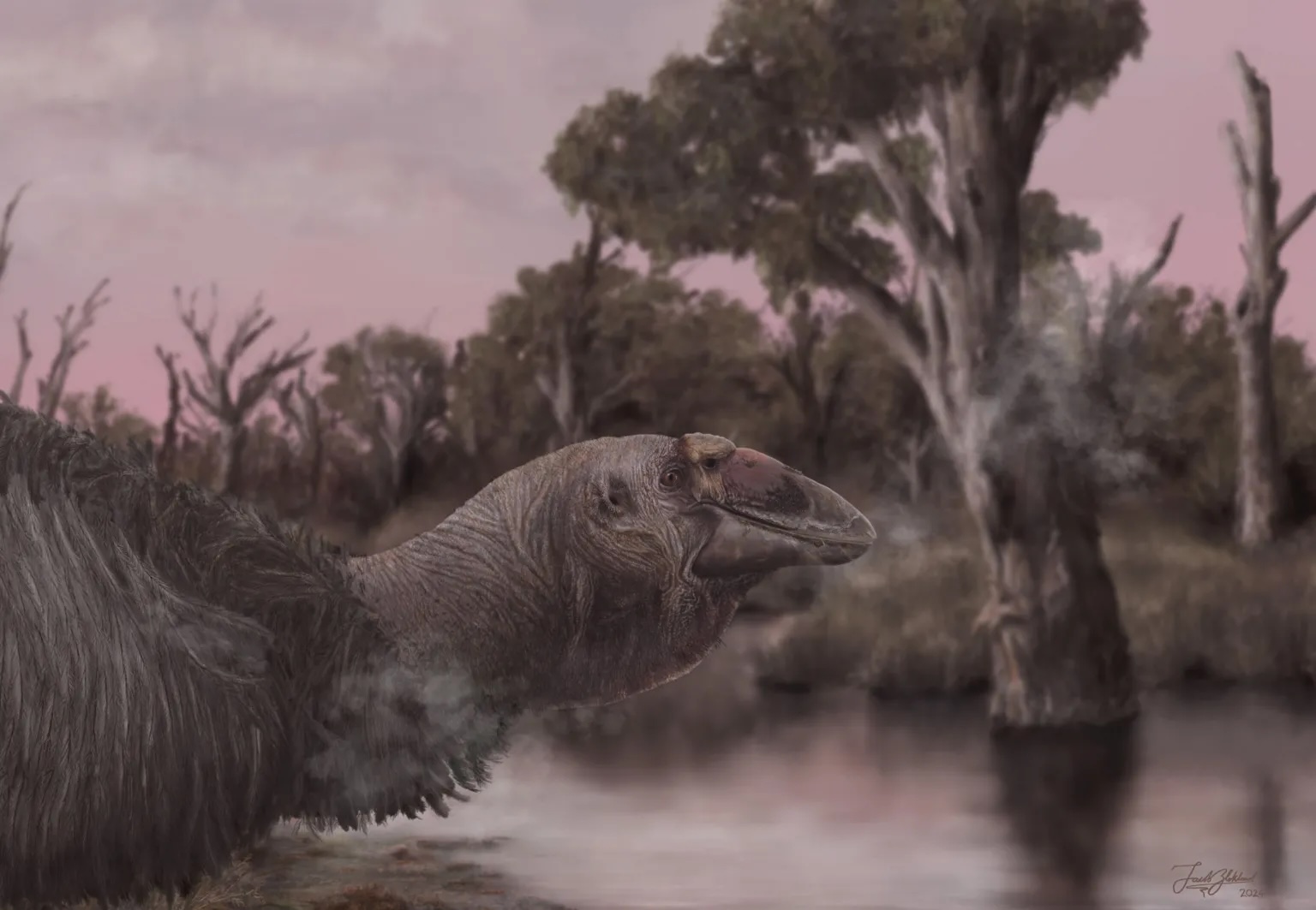 Megtalálták egy pleisztocénkori madár szinte teljesen ép állapotban fennmaradt koponyáját