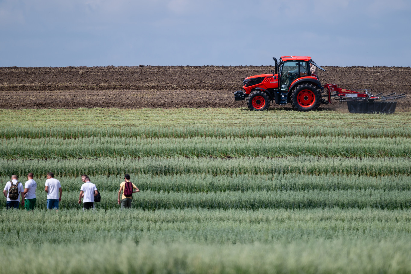 Rengeteg termőföldet akar eladni az állam a napokban