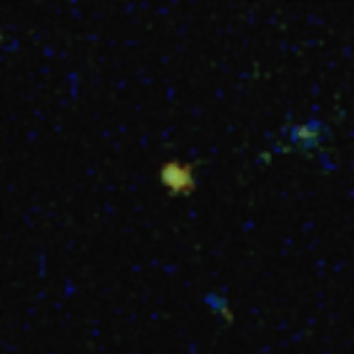 A GS-z12 galaxis a James Webb űrtávcső által készített hamisszínes felvételen