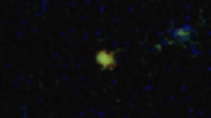 Szenet talált a James Webb űrtávcső az egyik legősibb ismert galaxisban