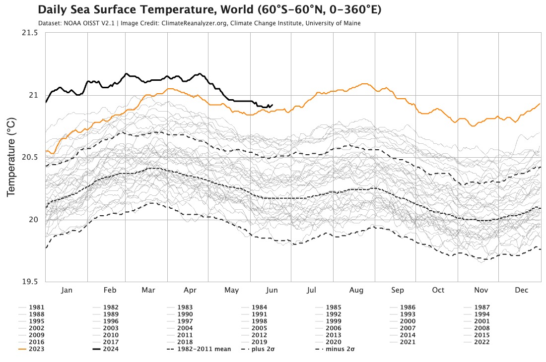 A napi tengerfelszíni hőmérséklet (sea surface temperature, SST) változása az északi és déli szélesség 60. foka között. A 2024-es értékeket a felső fekete vonal, a tavalyiakat a sárga mutatja.