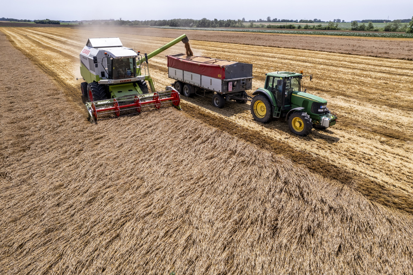 Sosem látott válsághelyzetben van a magyar mezőgazdaság