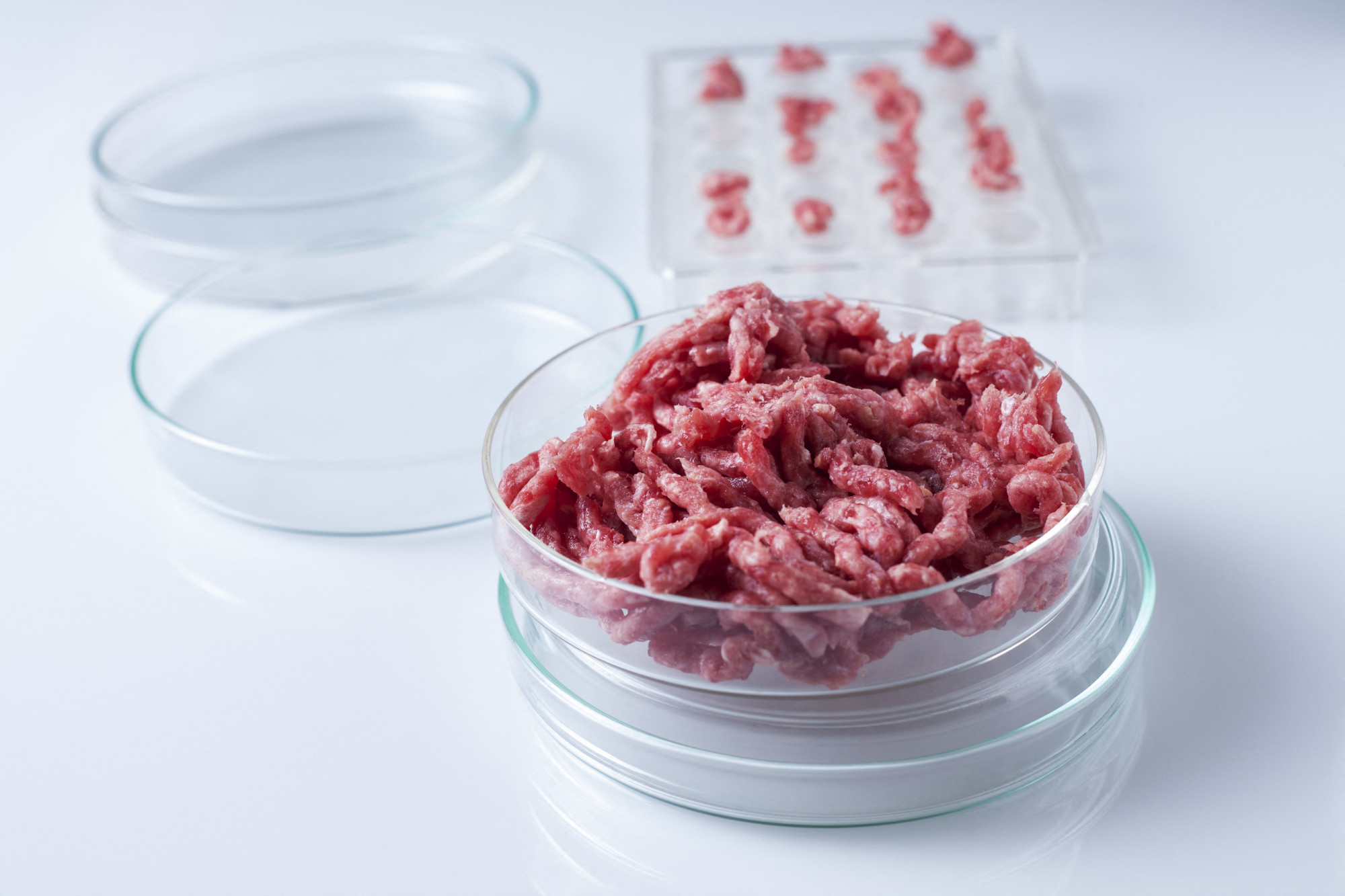 Még idén betilthatják a műhúst Magyarországon