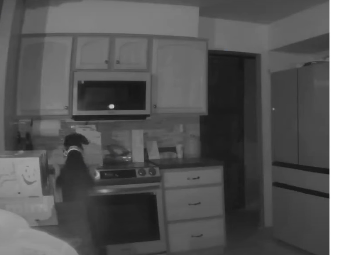 Coloradóban egy kíváncsi kutya éjszaka bekapcsolta a tűzhelyet és felgyújtotta a lakást