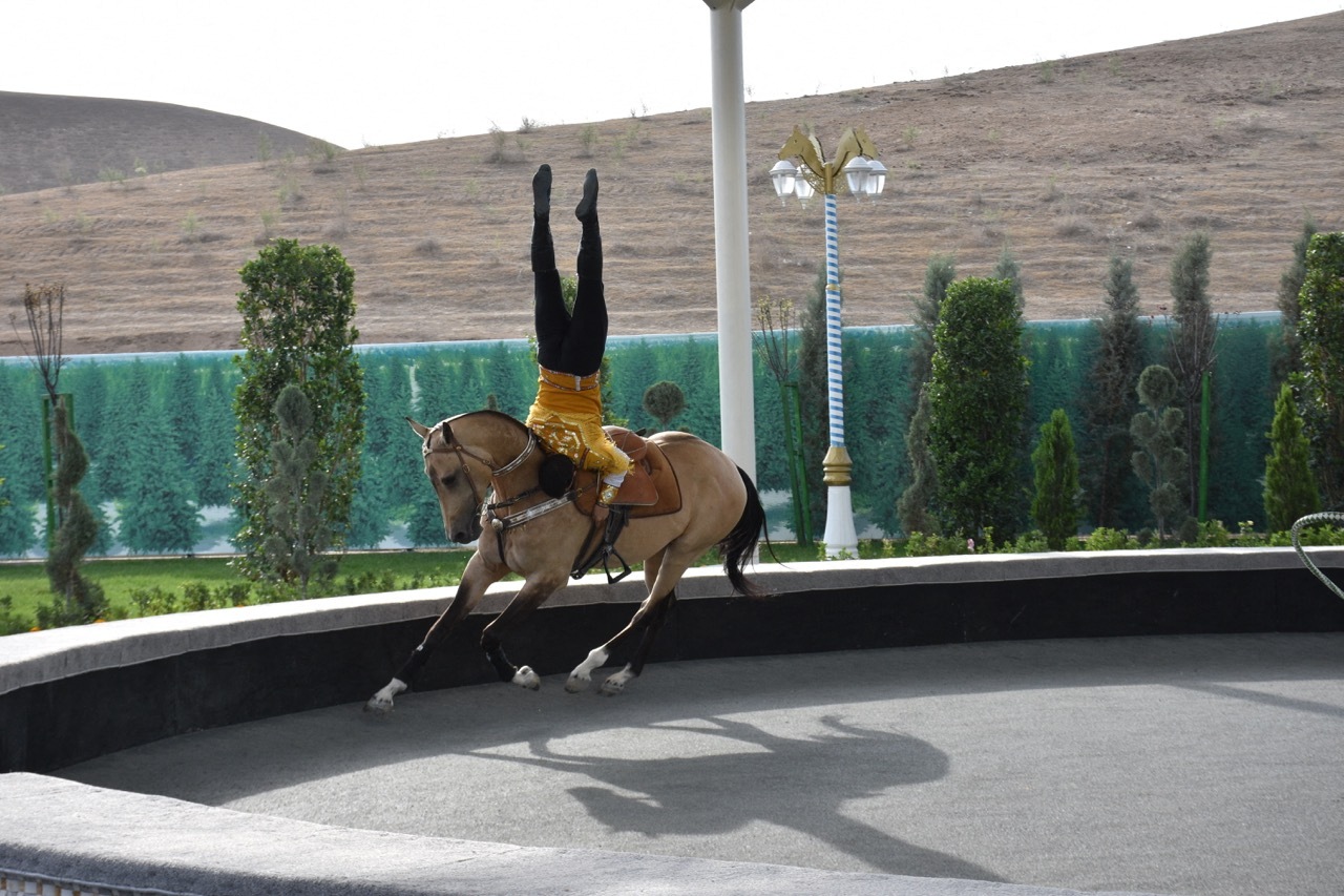 Türkmén lovakat szemlélnek Bábolnán
