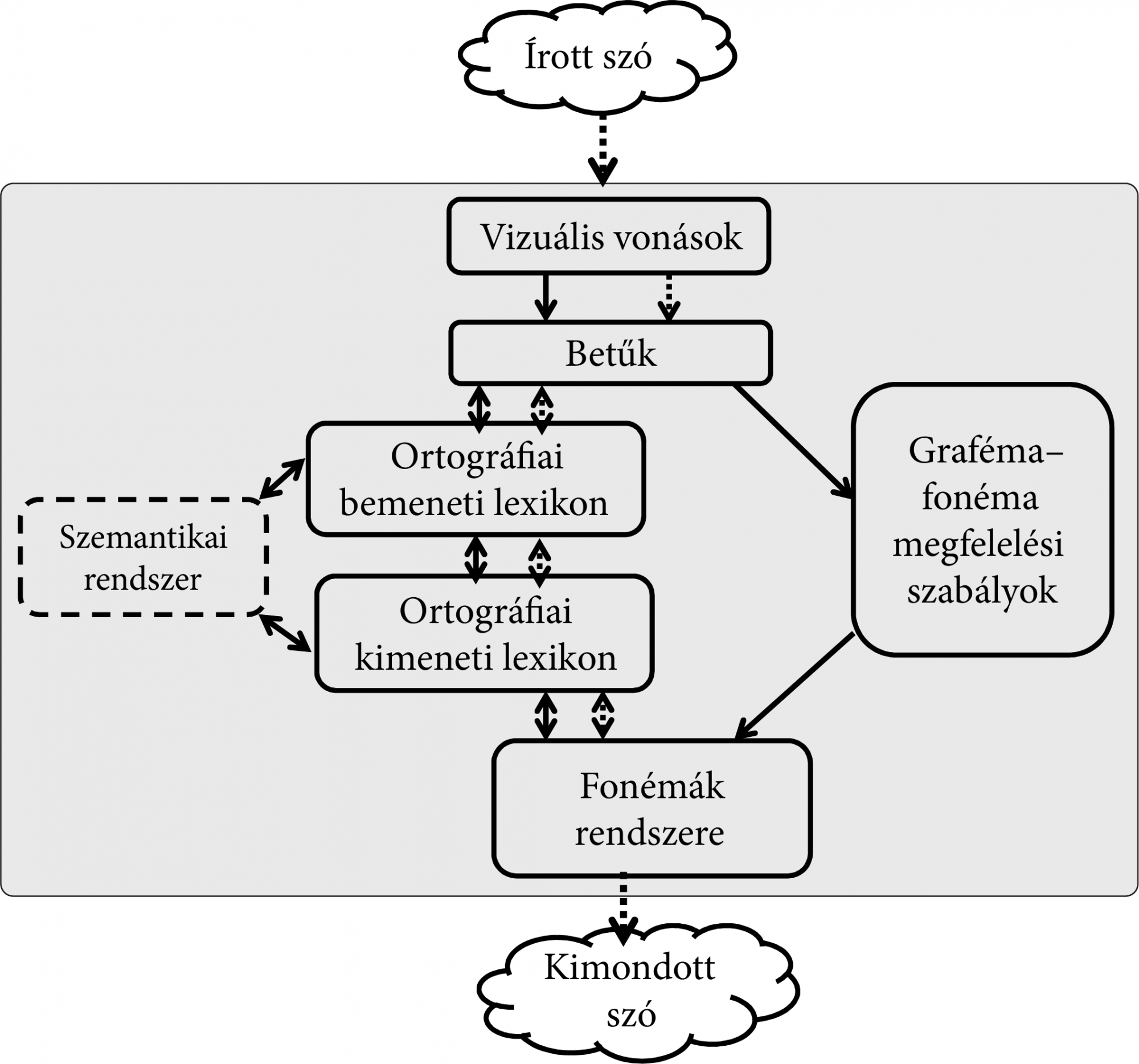 A kétutas Coltheart-modell, ami a diszlexia jellegzetes típusait is képes modellezni