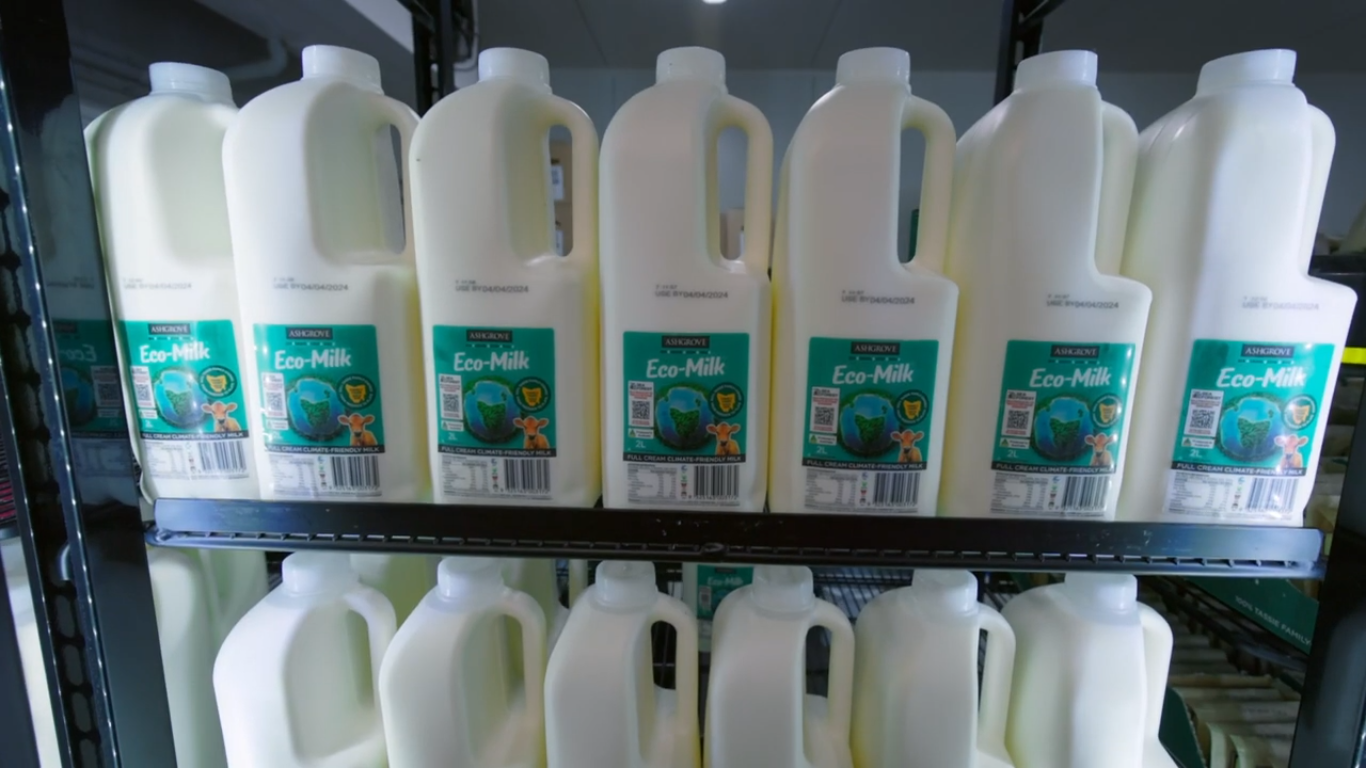 Kevesebb metánkibocsátás, magasabb ár: újfajta tejet dobnak piacra Ausztráliában