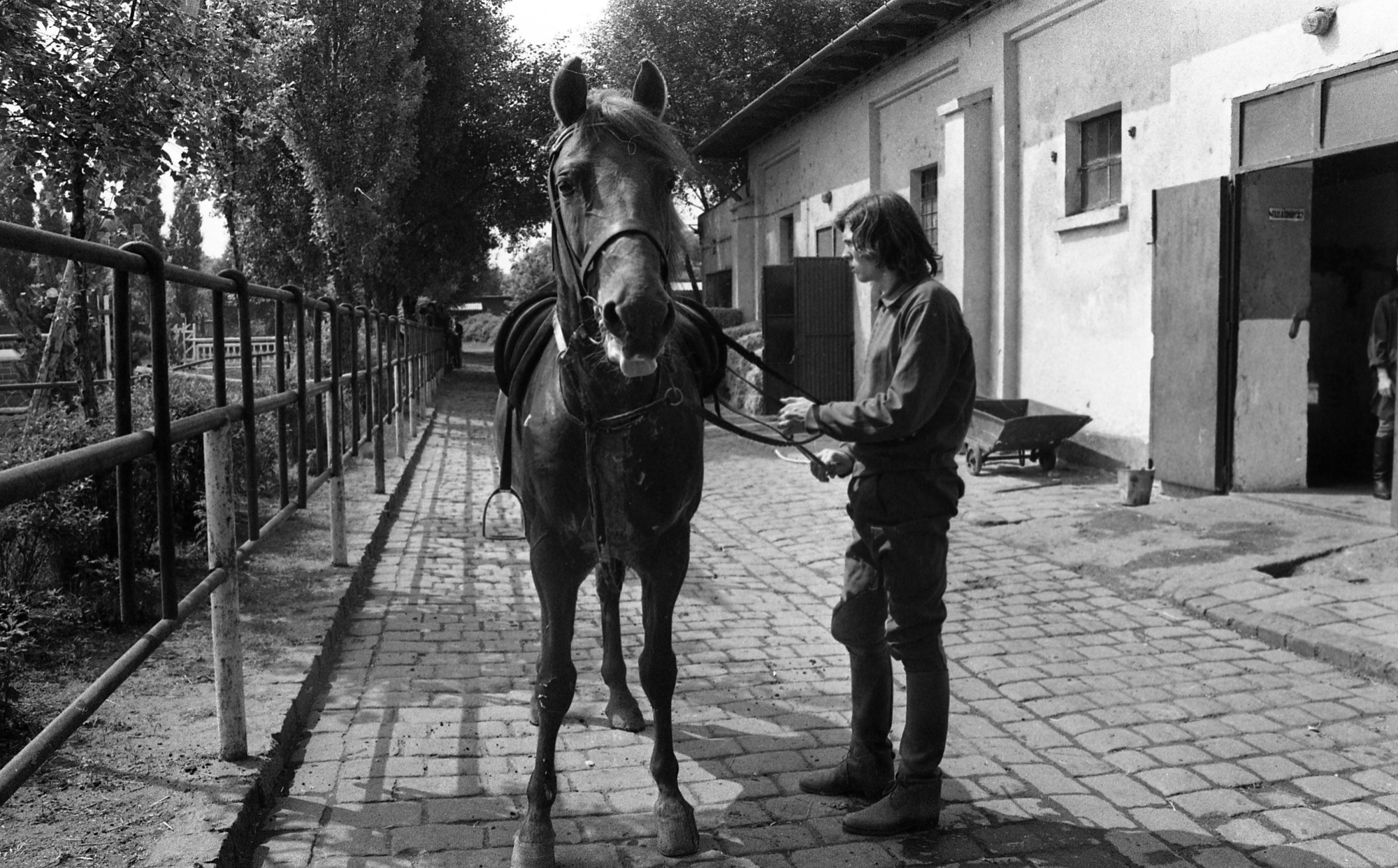 Kancsal Tamás későbbi olimpiai bronzérmes, világbajnok öttusázó 1974-ben.