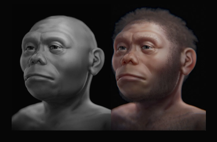 Új fosszíliák alapján még kisebb lehetett a legkisebb emberi faj, a Homo floresiensis