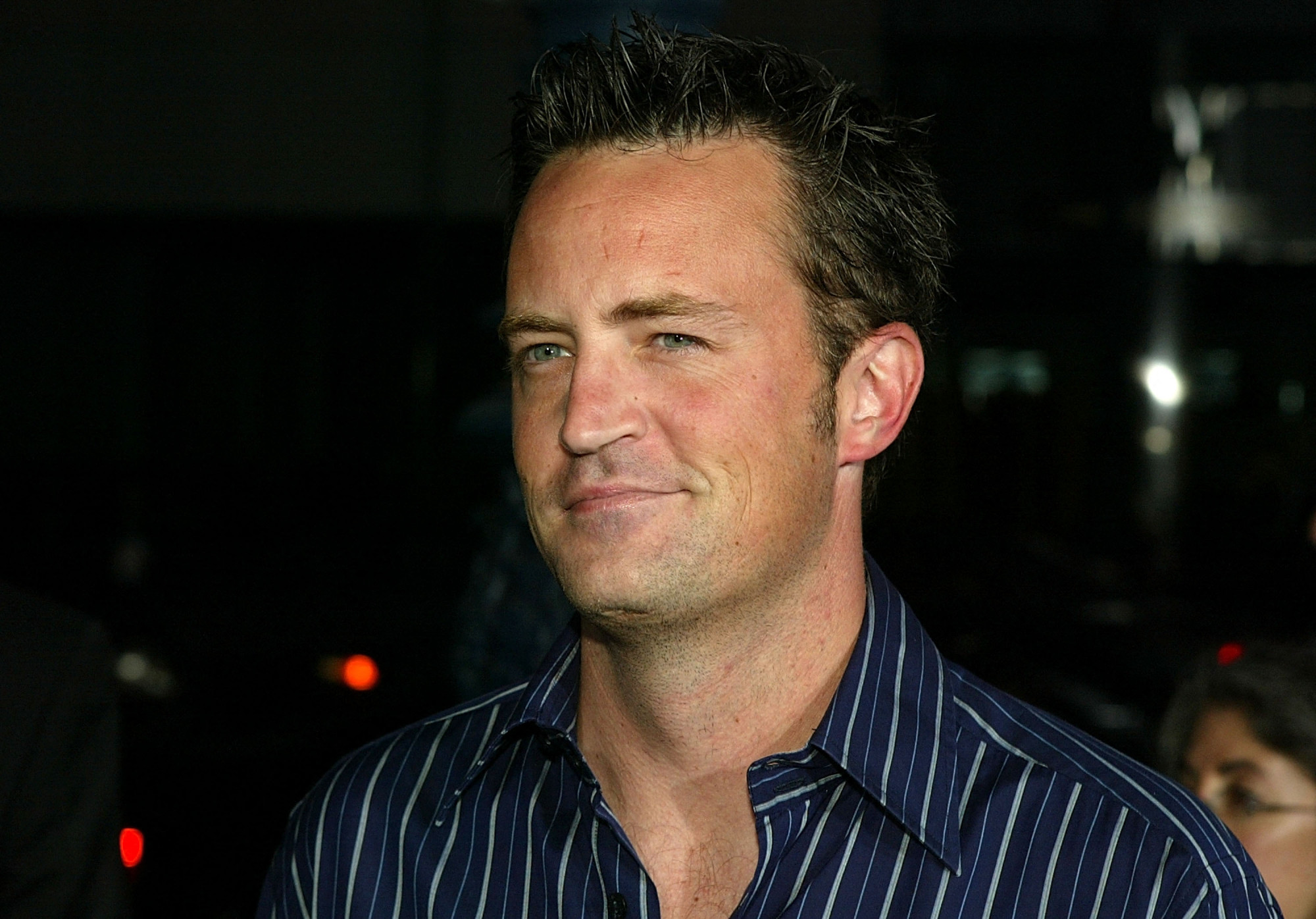 Matthew Perry (2004)