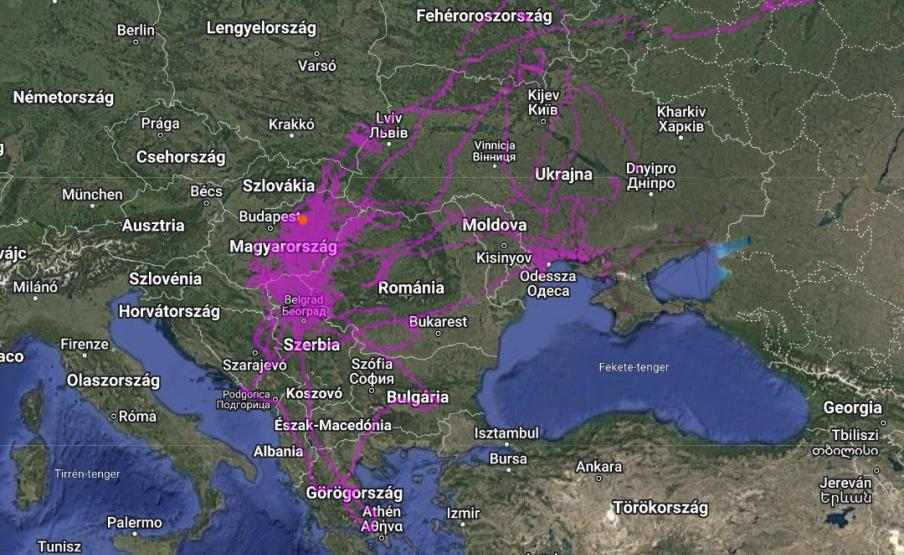 A jeladós magyarországi kerecsensólymok mozgása 2024 októberében