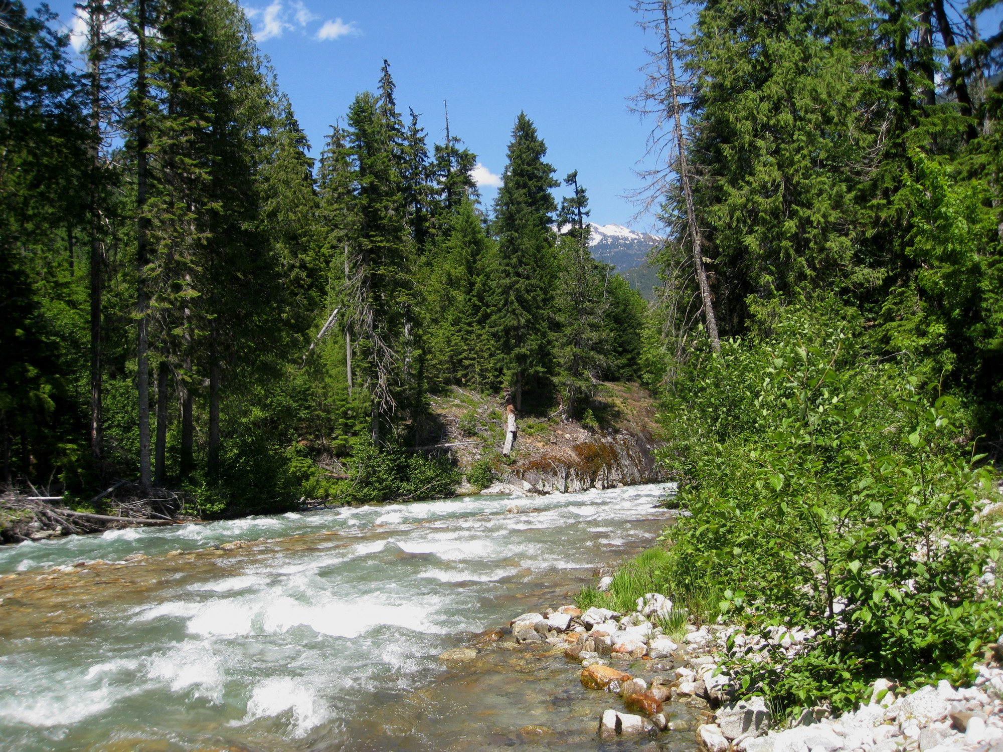 A Thunder Creek a North Cascades nemzeti parkban