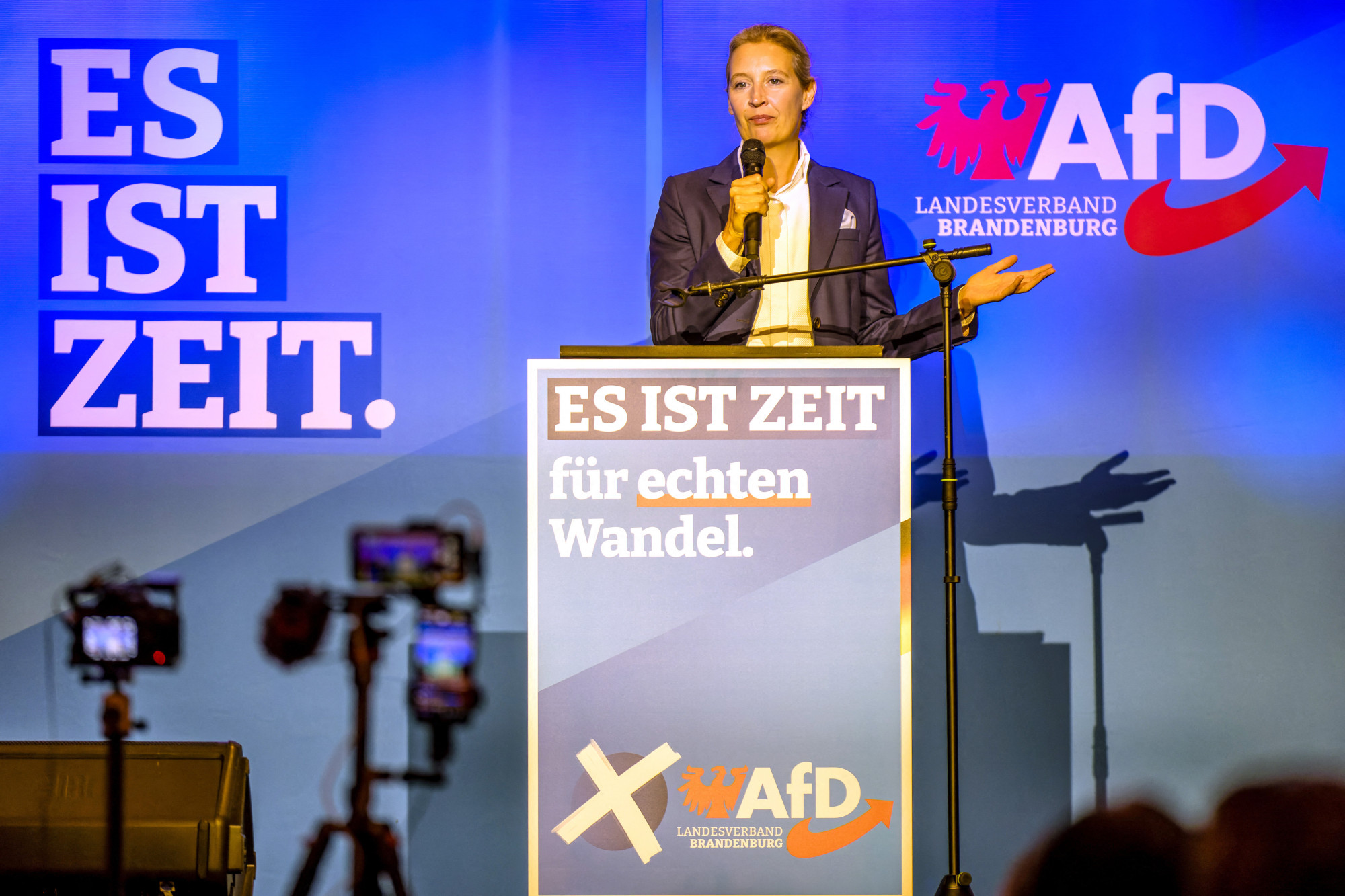 Az AfD kancellárjelöltje, Alice Weidel