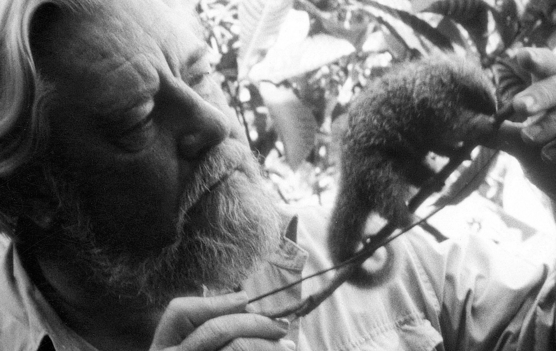 Száz éve született Gerald Durrell, aki örökre megváltoztatta az állatokhoz fűződő viszonyunkat