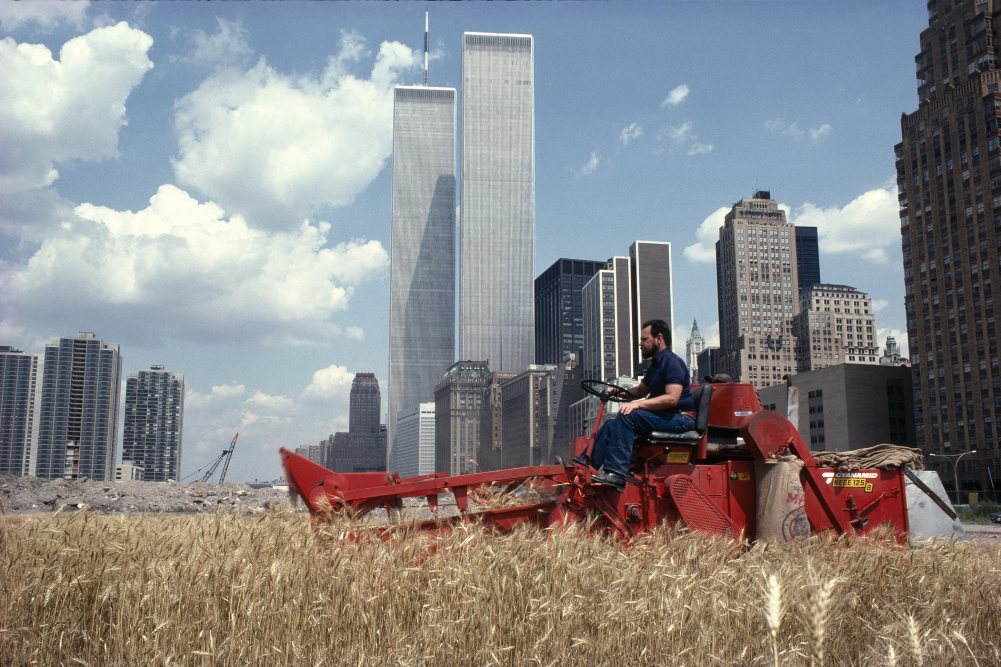 Búzamező – szembesítés: Szemétlerakó, Battery Park, Downtown Manhattan – Az aratás, 1982/2024 © Agnes Denes, a Leslie Tonkonow Artworks + Projects, New York és az acb Galéria jóvoltából