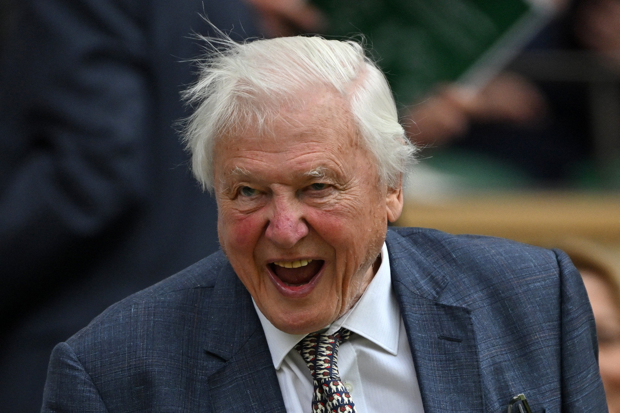 99 dolog, amit a 99 éves David Attenborough-nak köszönhetünk