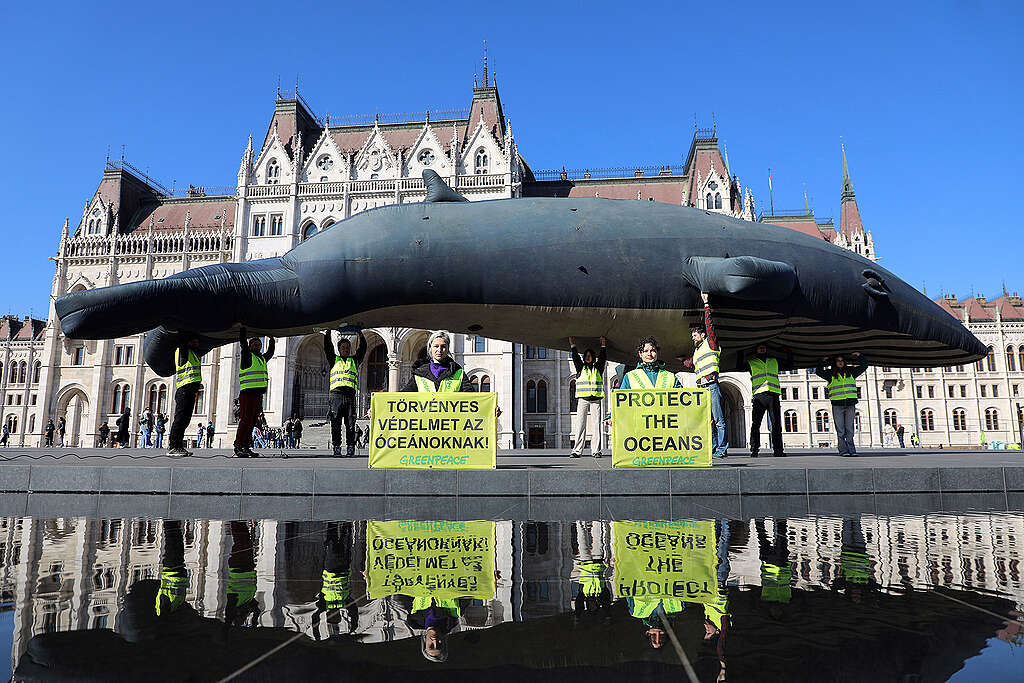 Magyarország ratifikálta a globális óceánvédelmi egyezményt