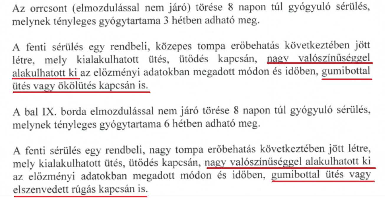 Részlet az orvosi szakvéleményből