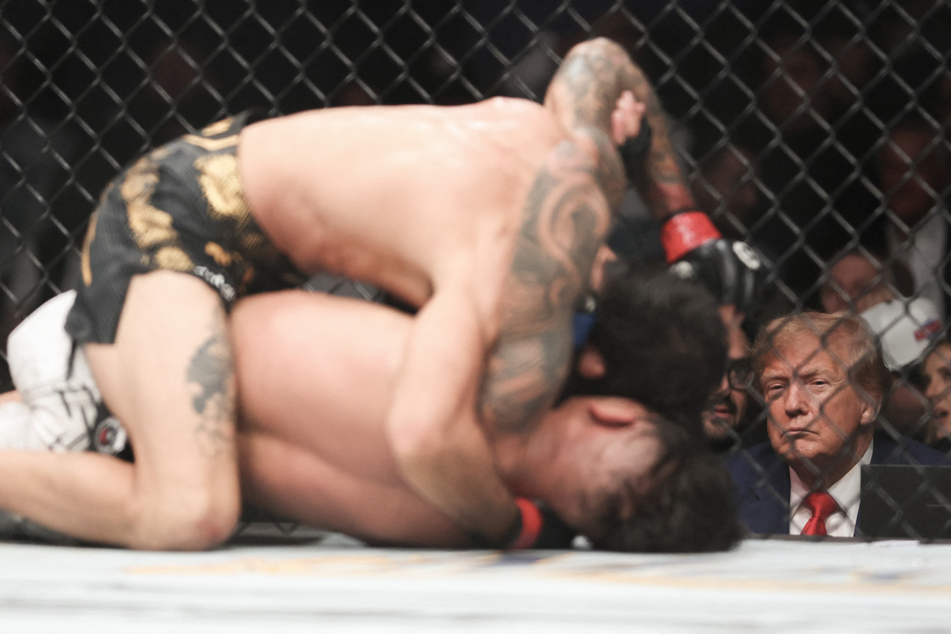 A Fehér Házba szervezne UFC-viadalt Trump az amerikai függetlenség 250. évfordulójának alkalmából