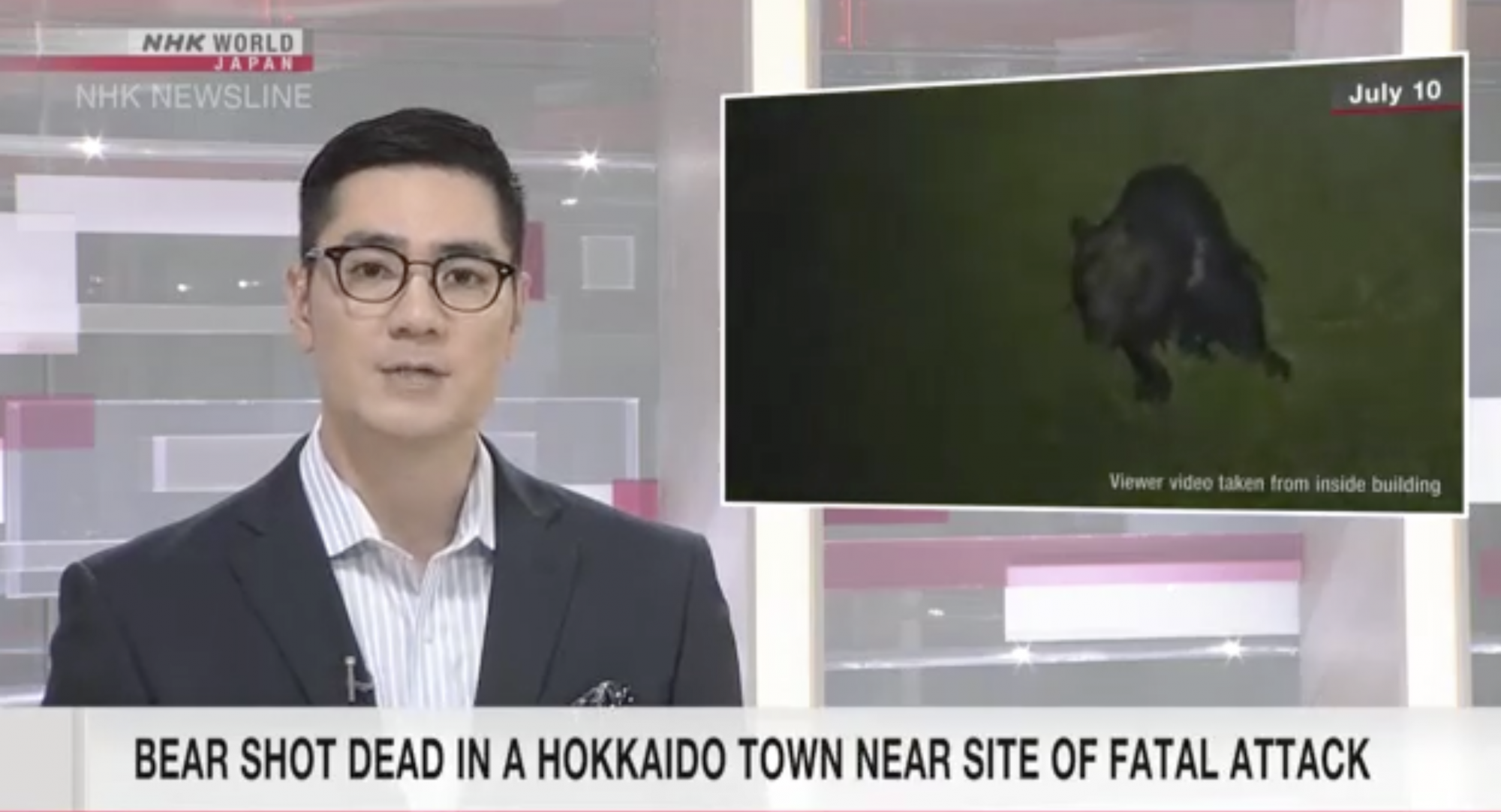 DNS-vizsgálat buktatta le a japán vérmedvét