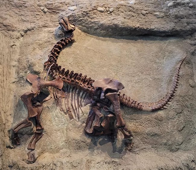 Paradicsomi körülmények között éltek az amerikai dinoszauruszok a jura korban
