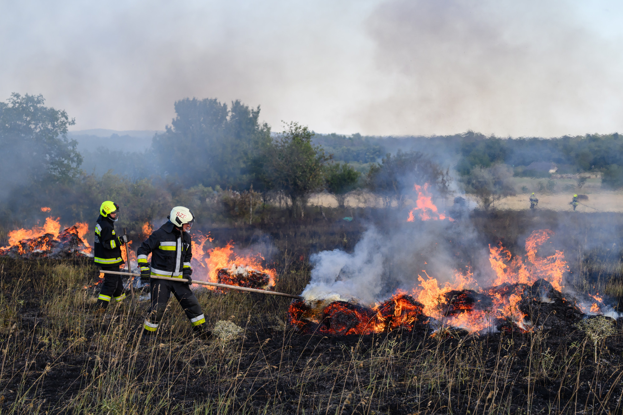 Húsz hektáron ég a tarló Hódmezővásárhely mellett