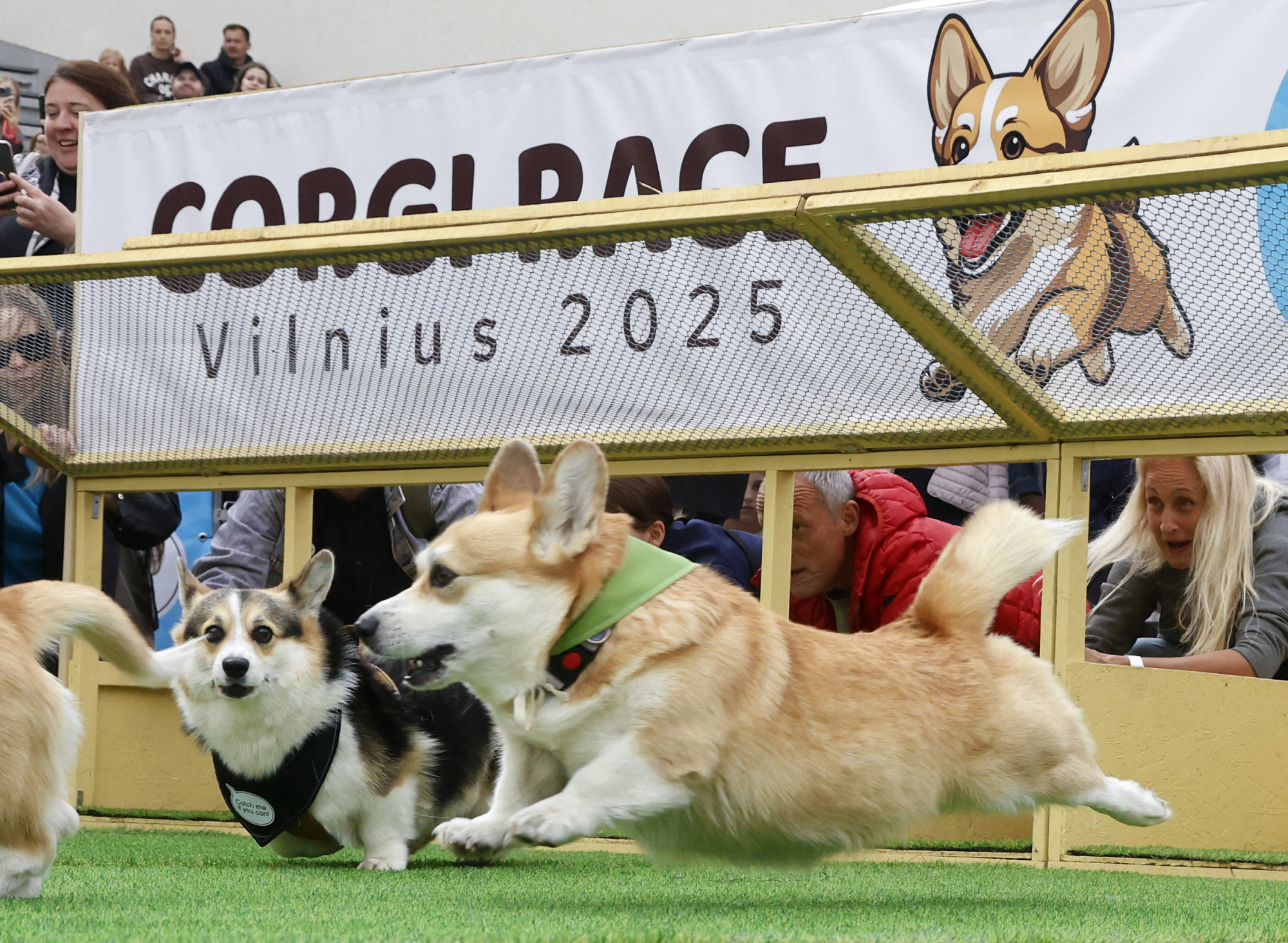 Száguldó versenycorgik lepték el Vilniust Kép