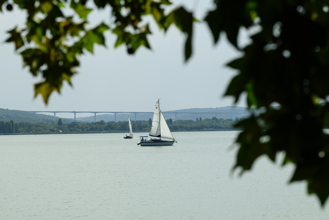 Petícióval tiltakoznak a helyiek Fonyód utolsó szabad vízparti területének beépítése ellen