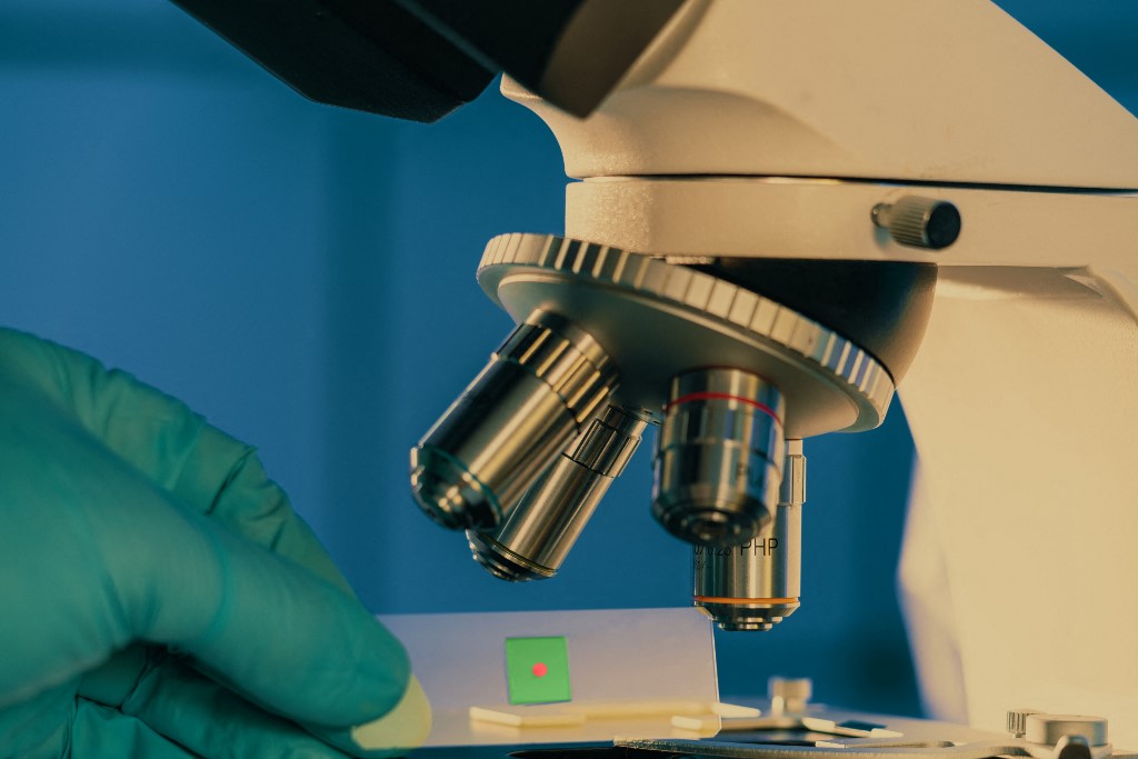 „Nem meghurcolni kellene őket, hanem örülni, hogy itt dolgoznak" – egymás után állnak ki a tudósok a Magyar Nemzet által megtámadott két kutató mellett