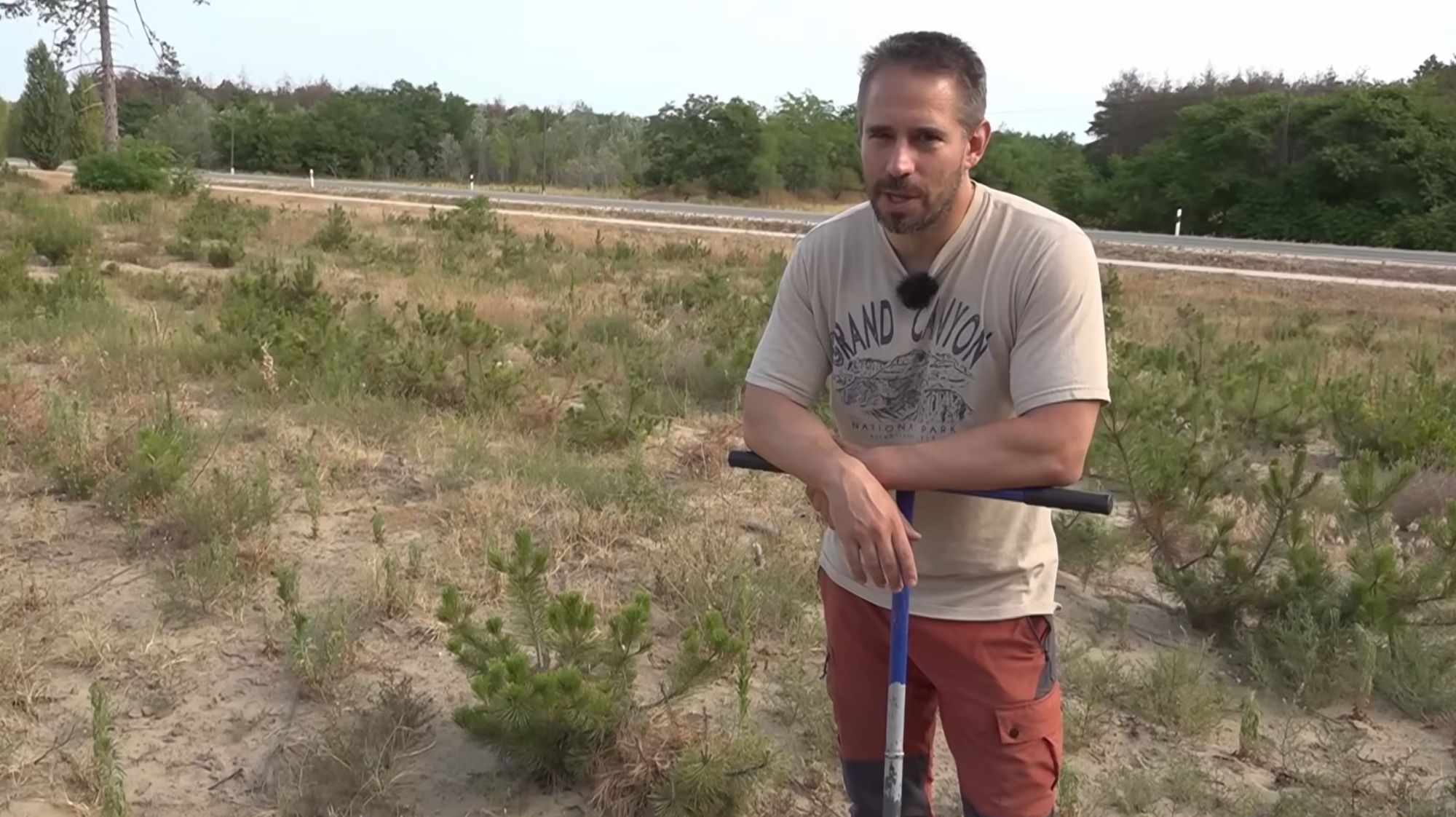 Tudományos kritika miatt töröltetne egy videót a YouTube-ról a kiszáradó Homokhátságon gazdálkodó állami erdészet